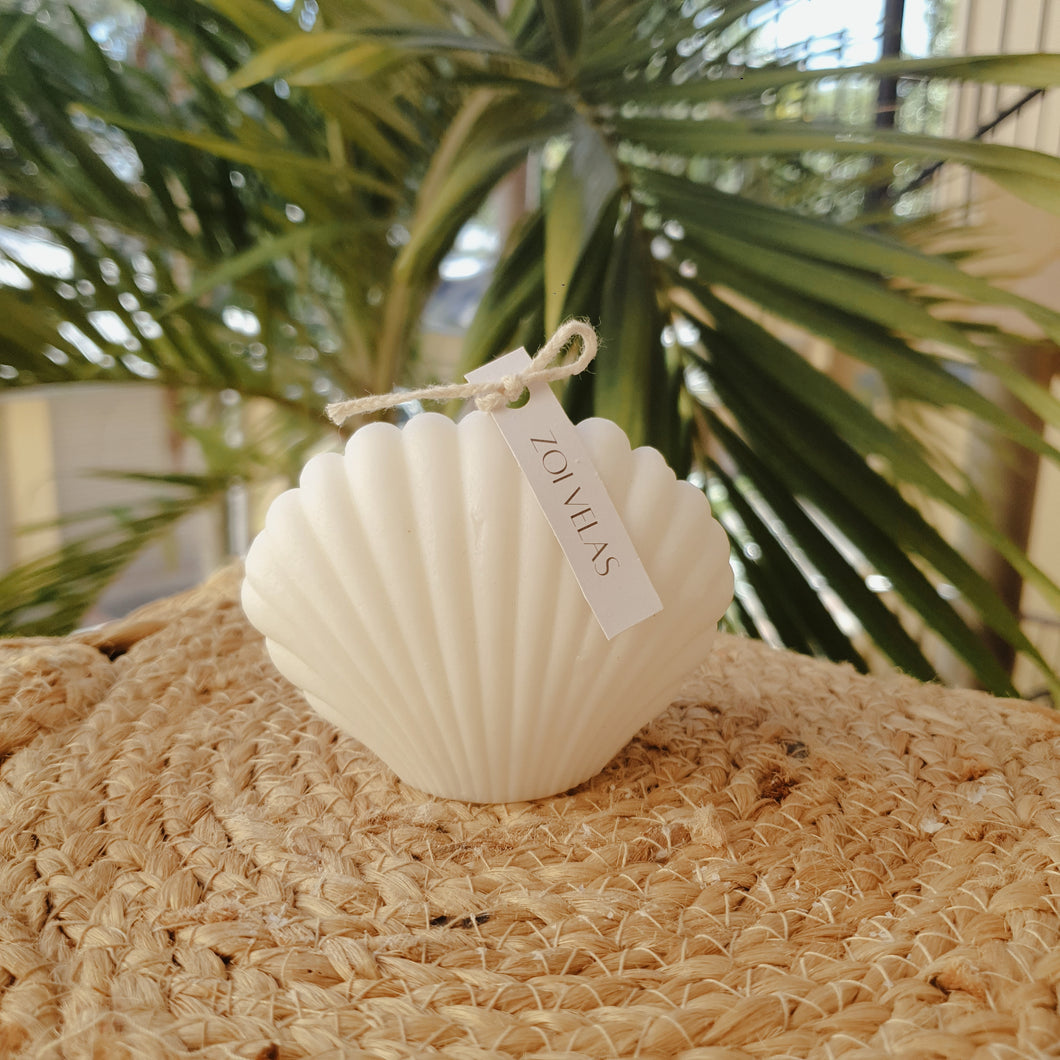 Sea Shell