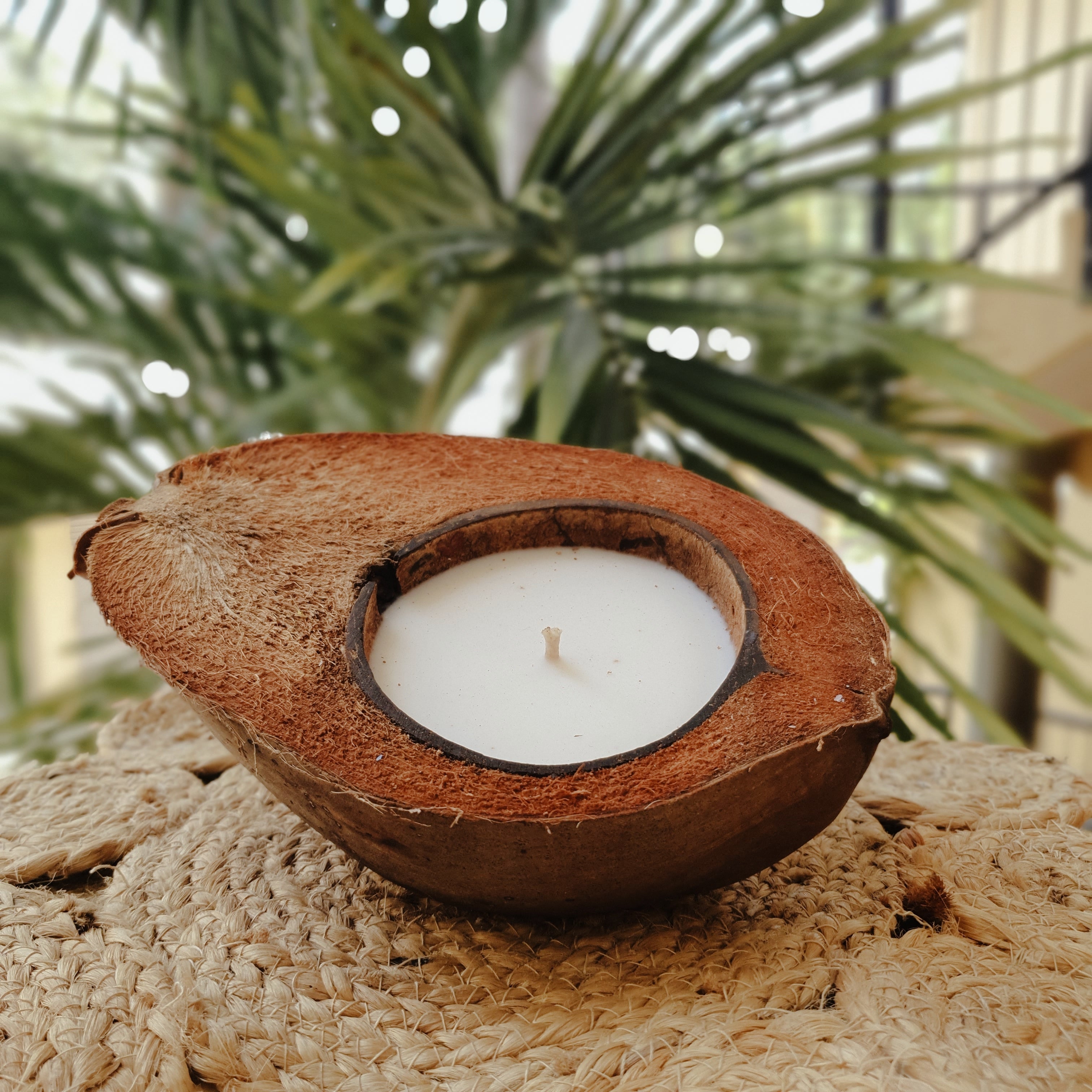 Coconut husk Candle – Zoi Velas Candles