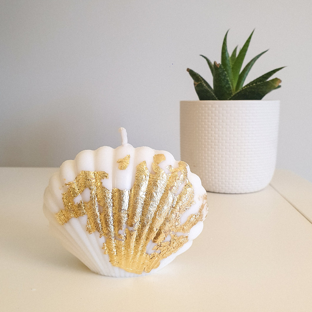 Luxe Sea Shell