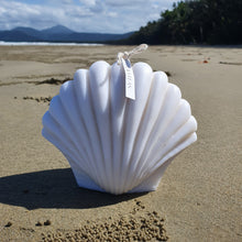 Load image into Gallery viewer, Large Scallop Sea Shell
