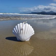 Load image into Gallery viewer, Large Scallop Sea Shell
